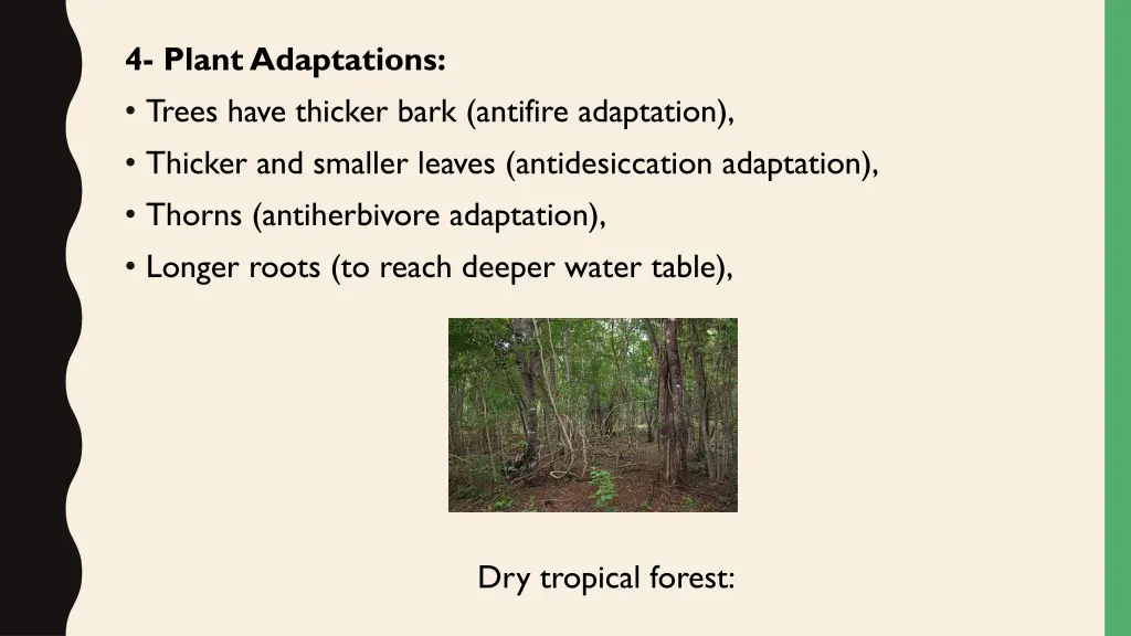 4 plant adaptations trees have thicker bark