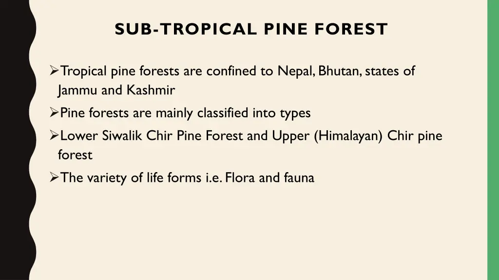 sub tropical pine forest