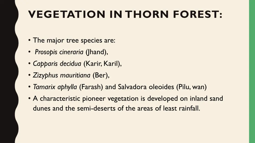 vegetation in thorn forest