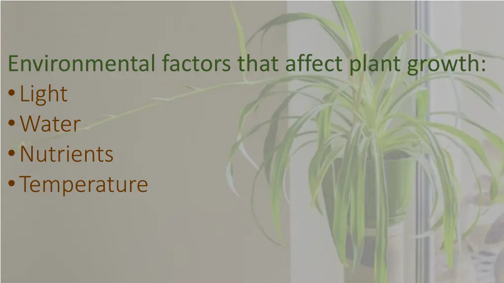 environmental factors that affect plant growth