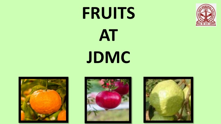 fruits at jdmc