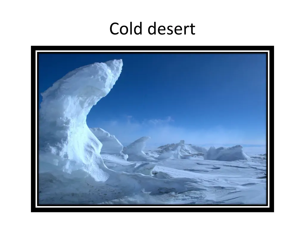 cold desert