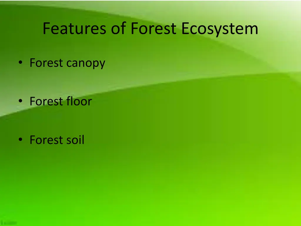 features of forest ecosystem