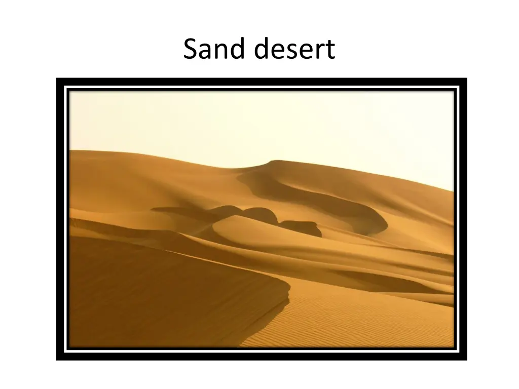 sand desert