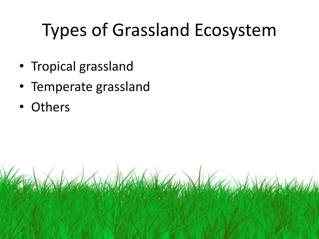 types of grassland ecosystem