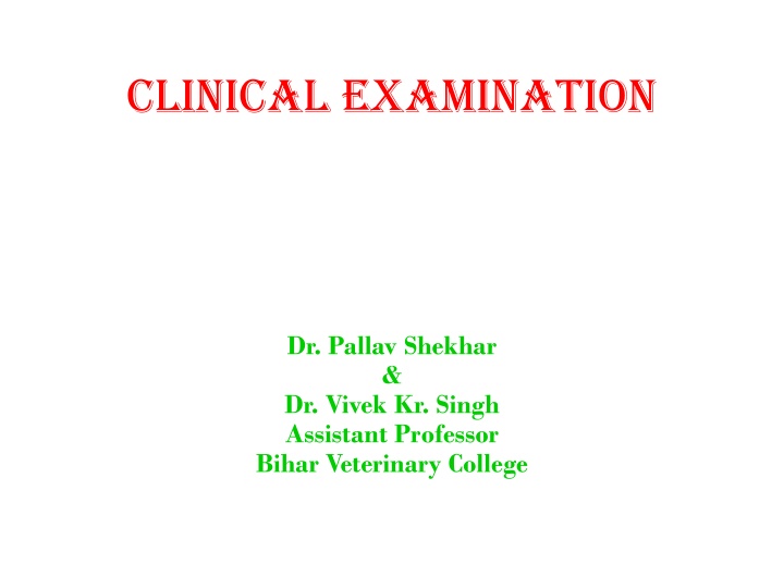 clinical examination