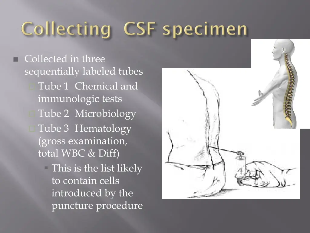 collected in three sequentially labeled tubes