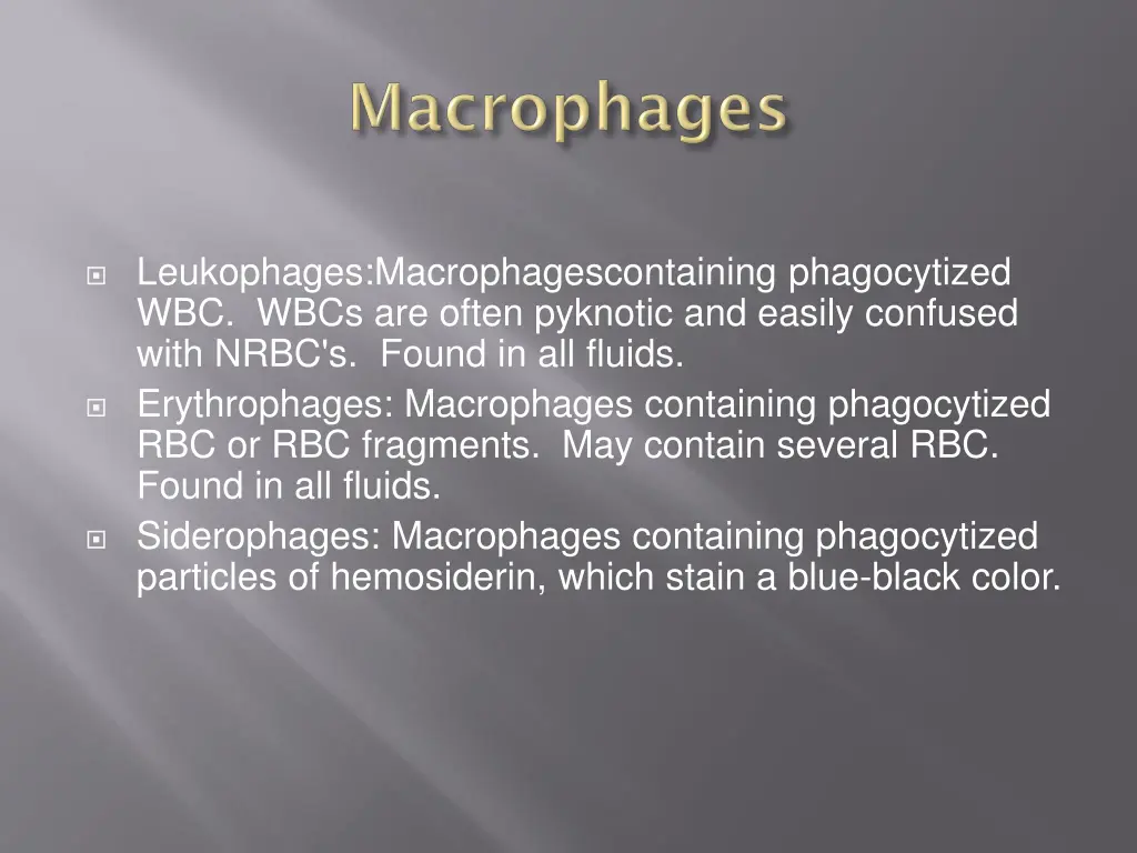 leukophages macrophagescontaining phagocytized