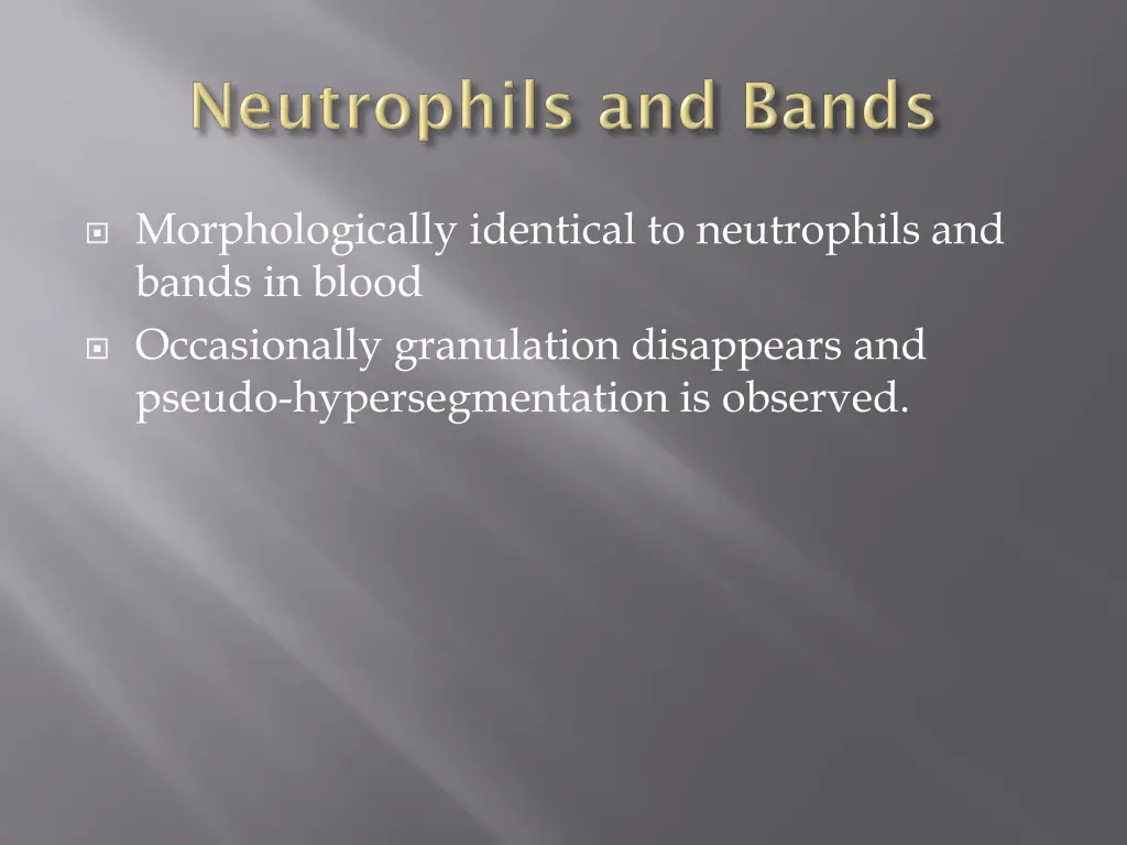 morphologically identical to neutrophils