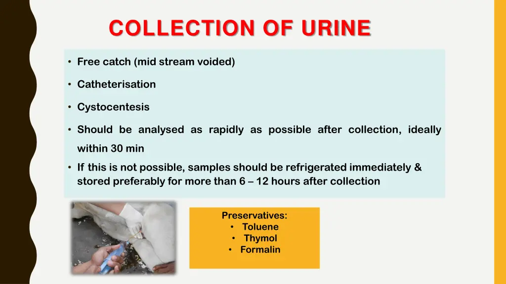 collection of urine