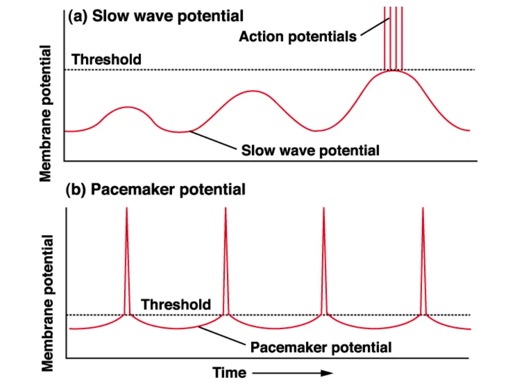 slide6