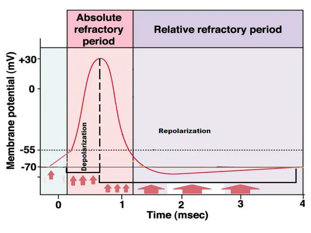 slide9