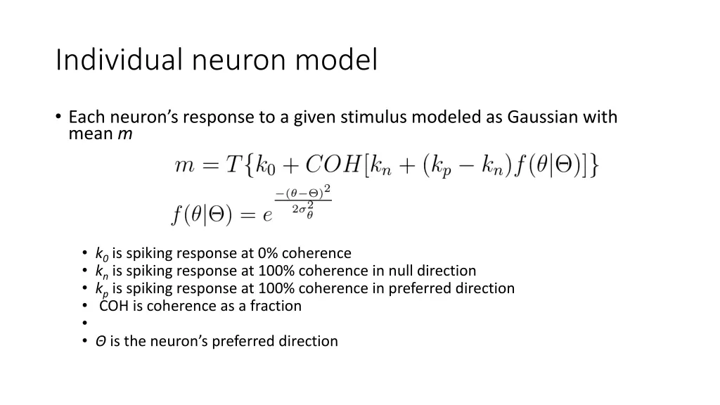 individual neuron model