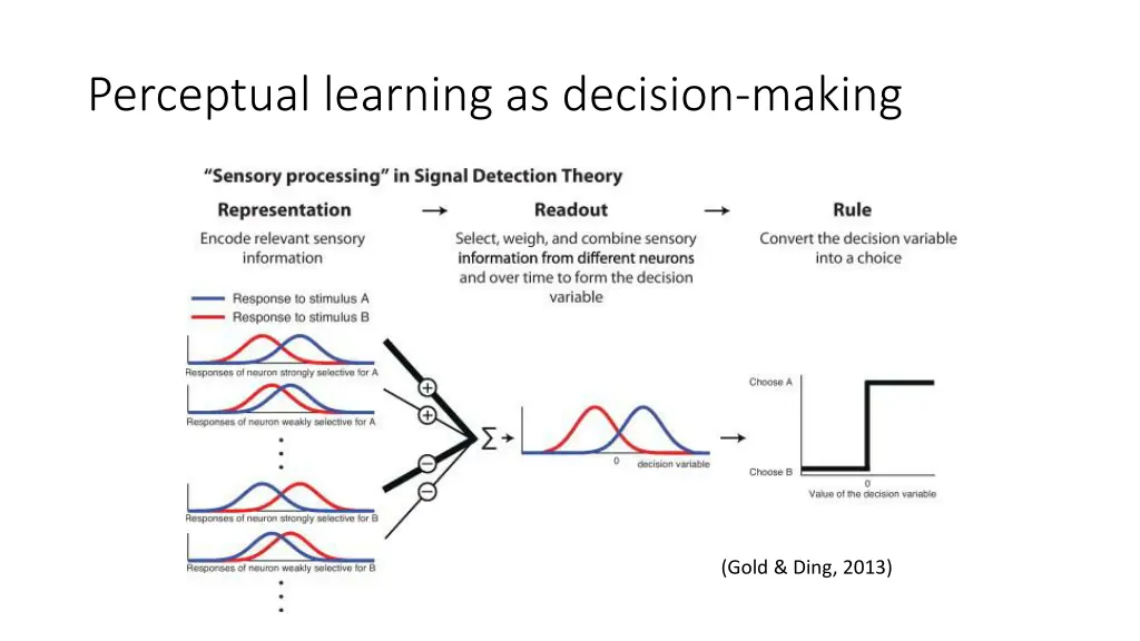 perceptual learning as decision making