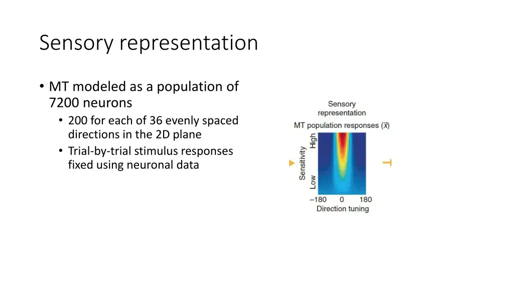 sensory representation