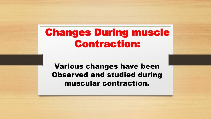 changes during muscle changes during muscle