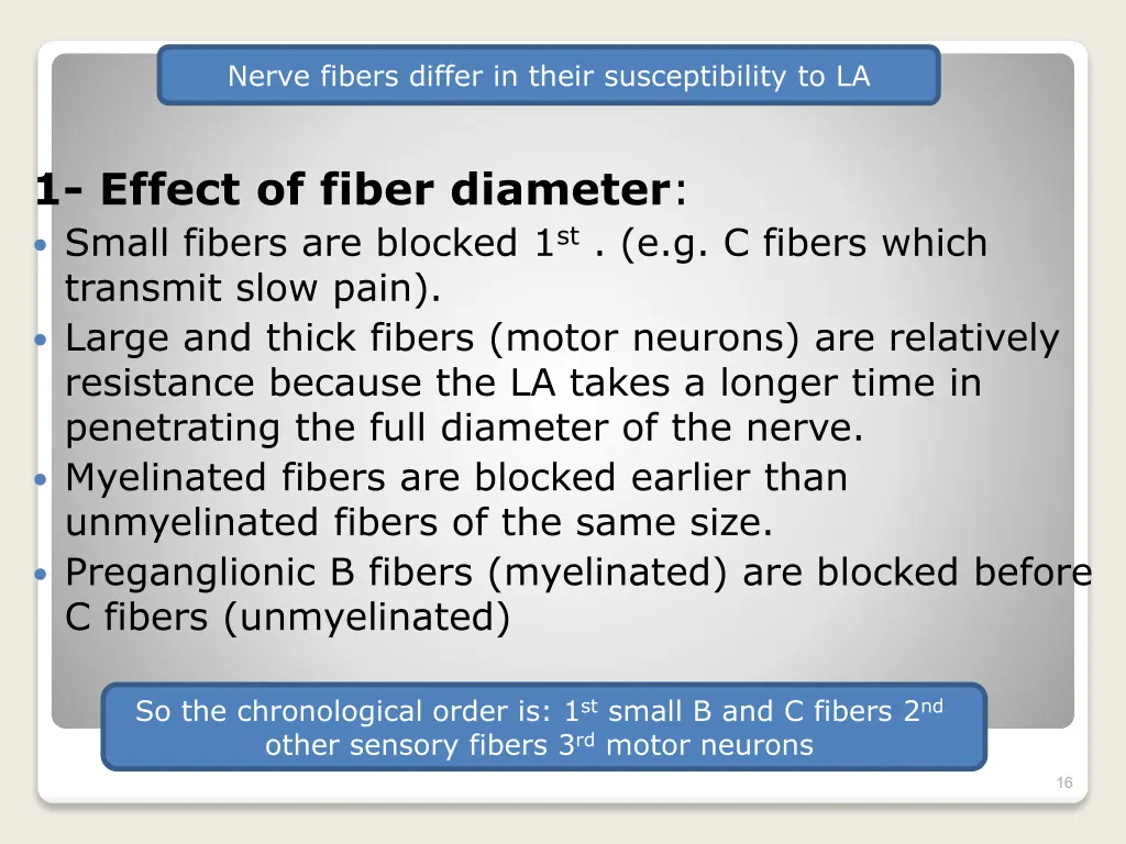 nerve fibers differ in their susceptibility to la