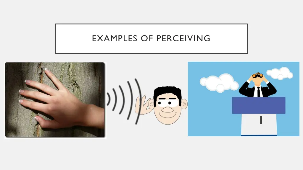 examples of perceiving