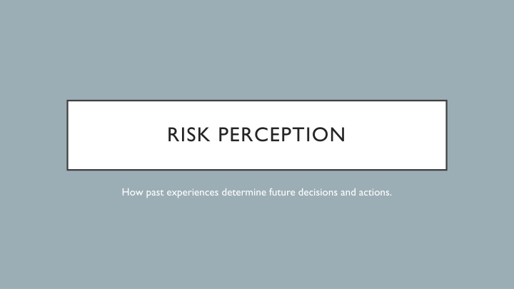 risk perception