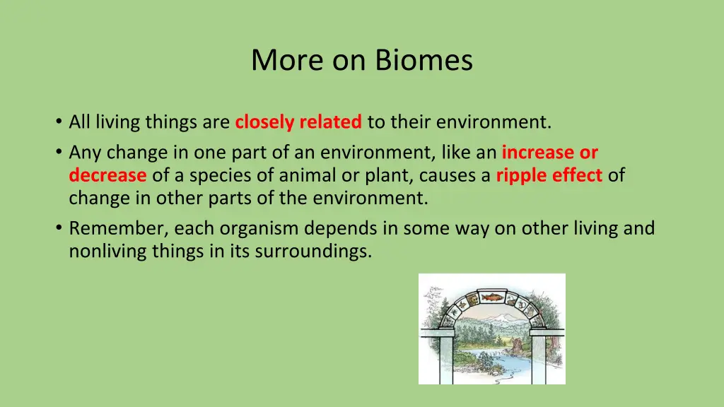 more on biomes