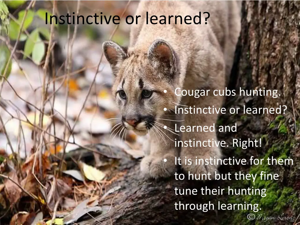 instinctive or learned 3