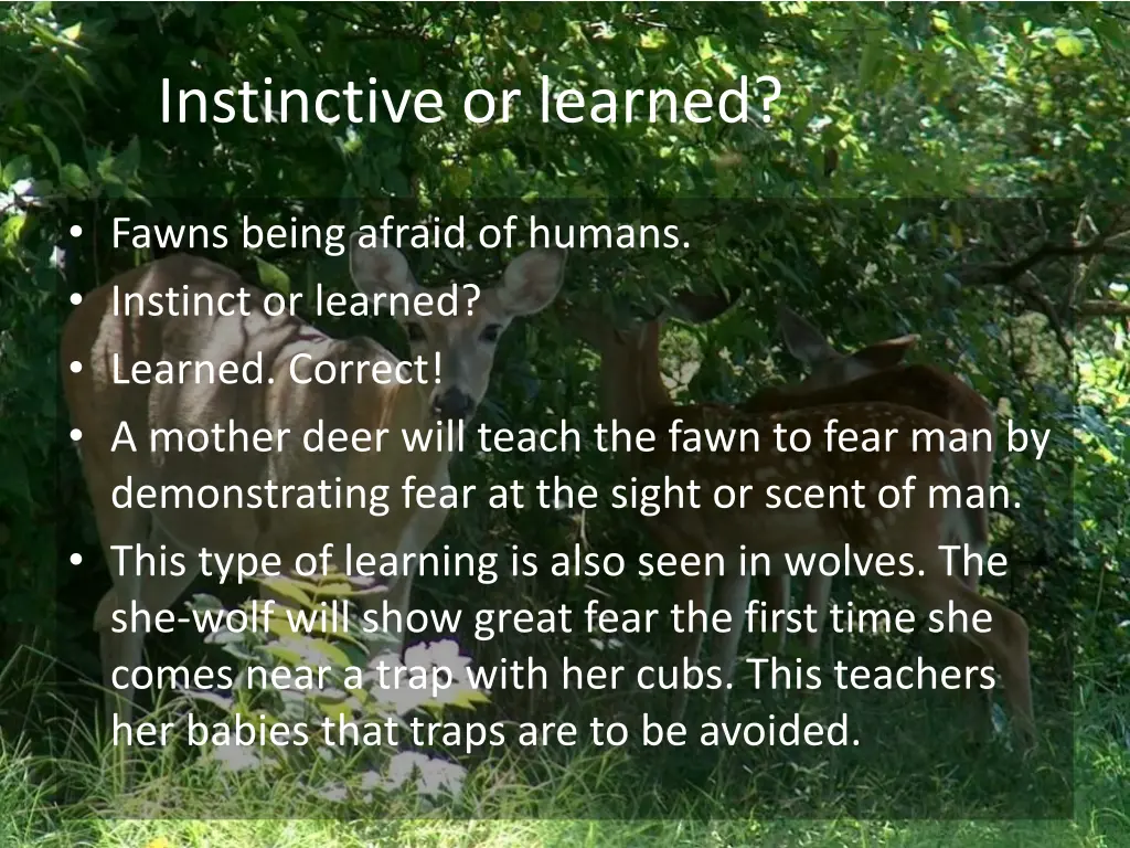 instinctive or learned 5