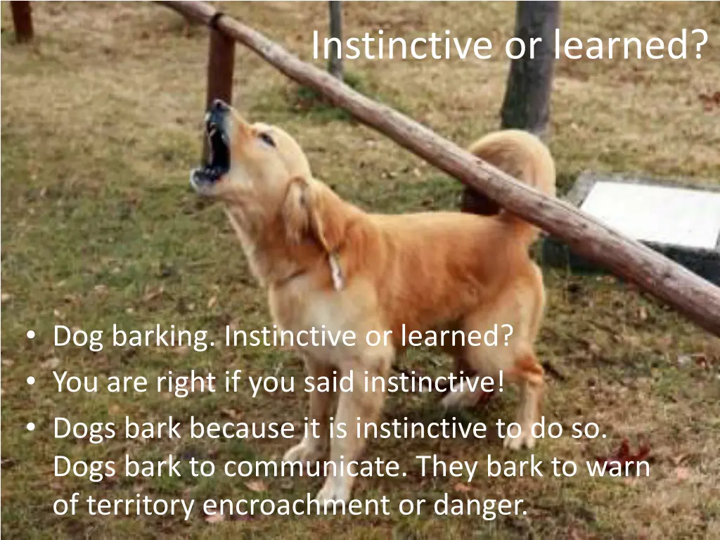 instinctive or learned 6