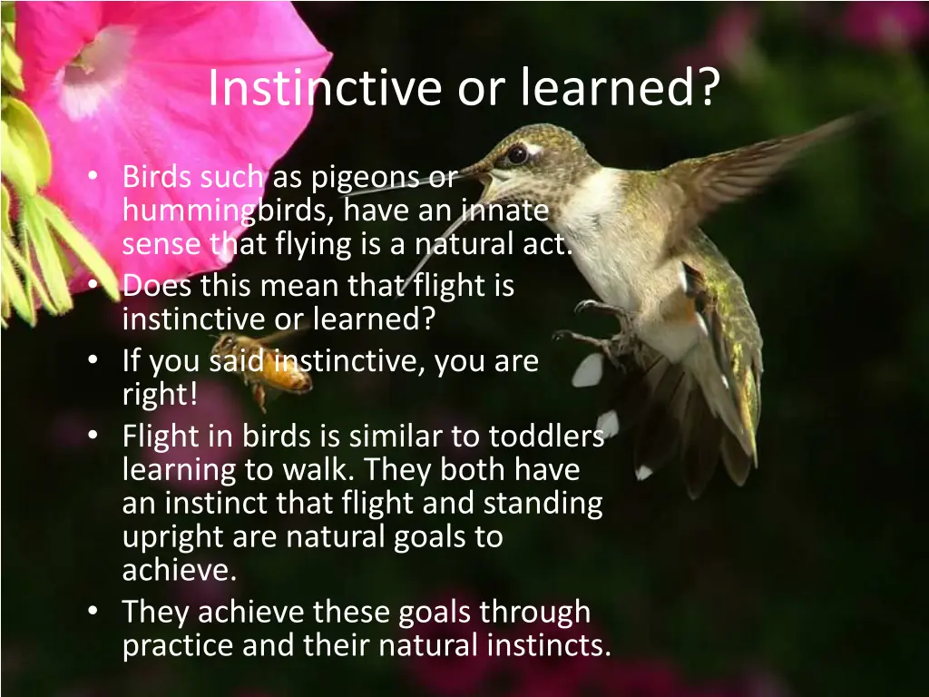 instinctive or learned