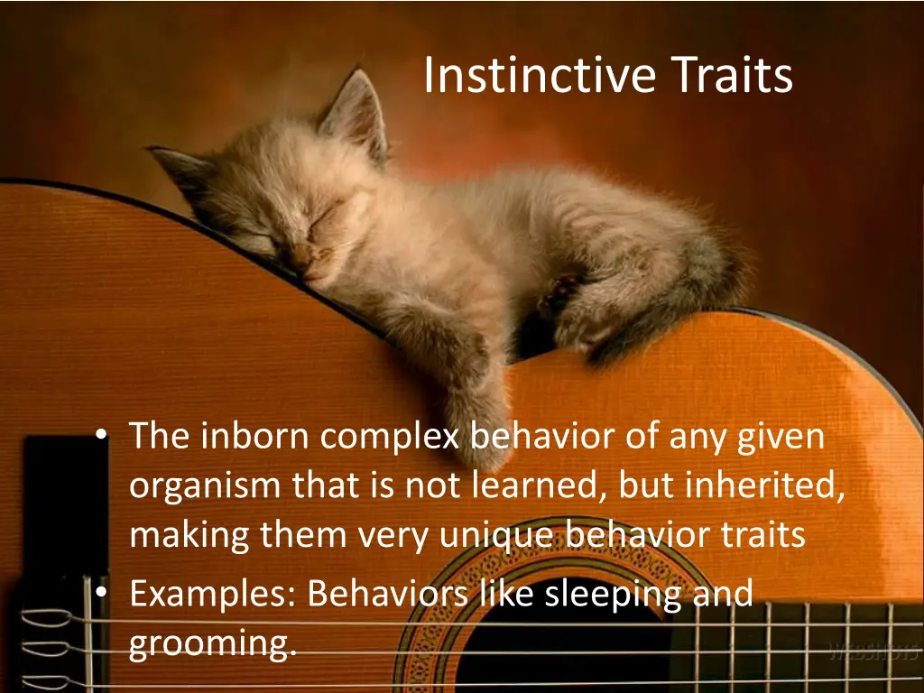 instinctive traits