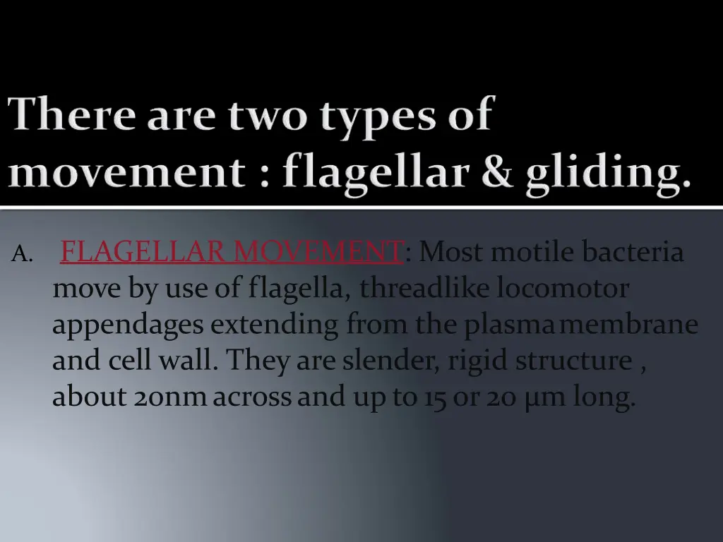 a flagellar movement most motile bacteria move