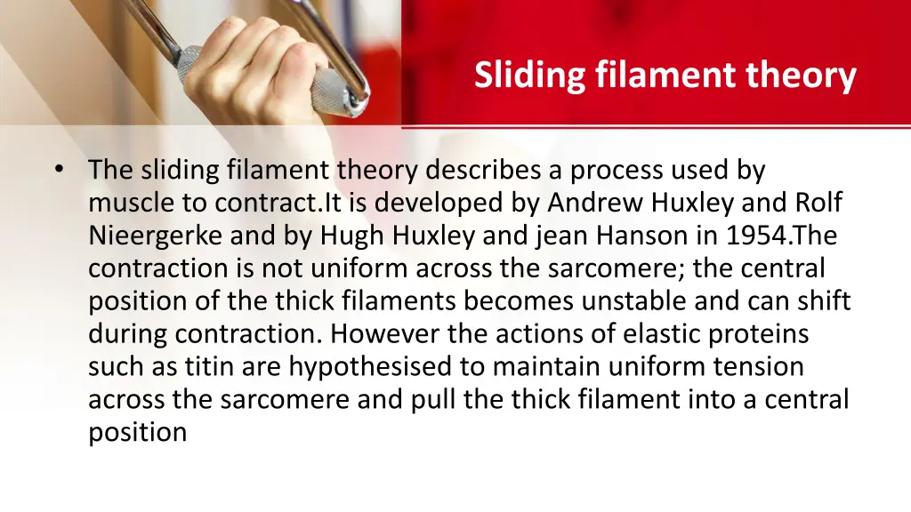 sliding filament theory