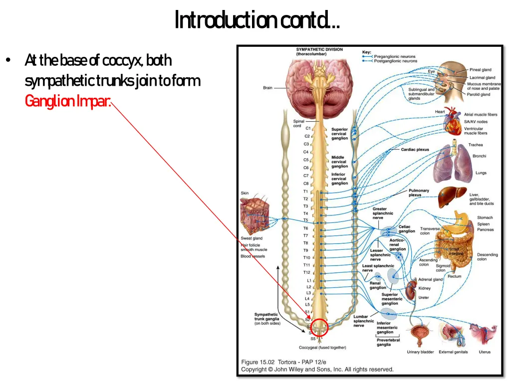 introduction contd