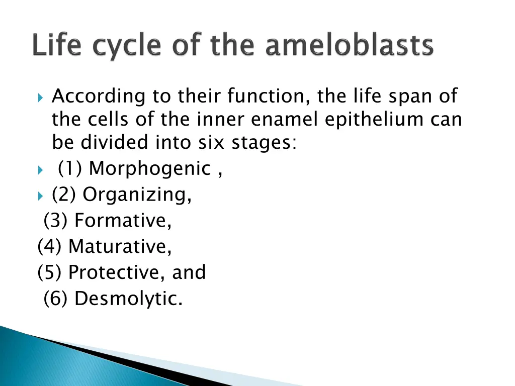 according to their function the life span