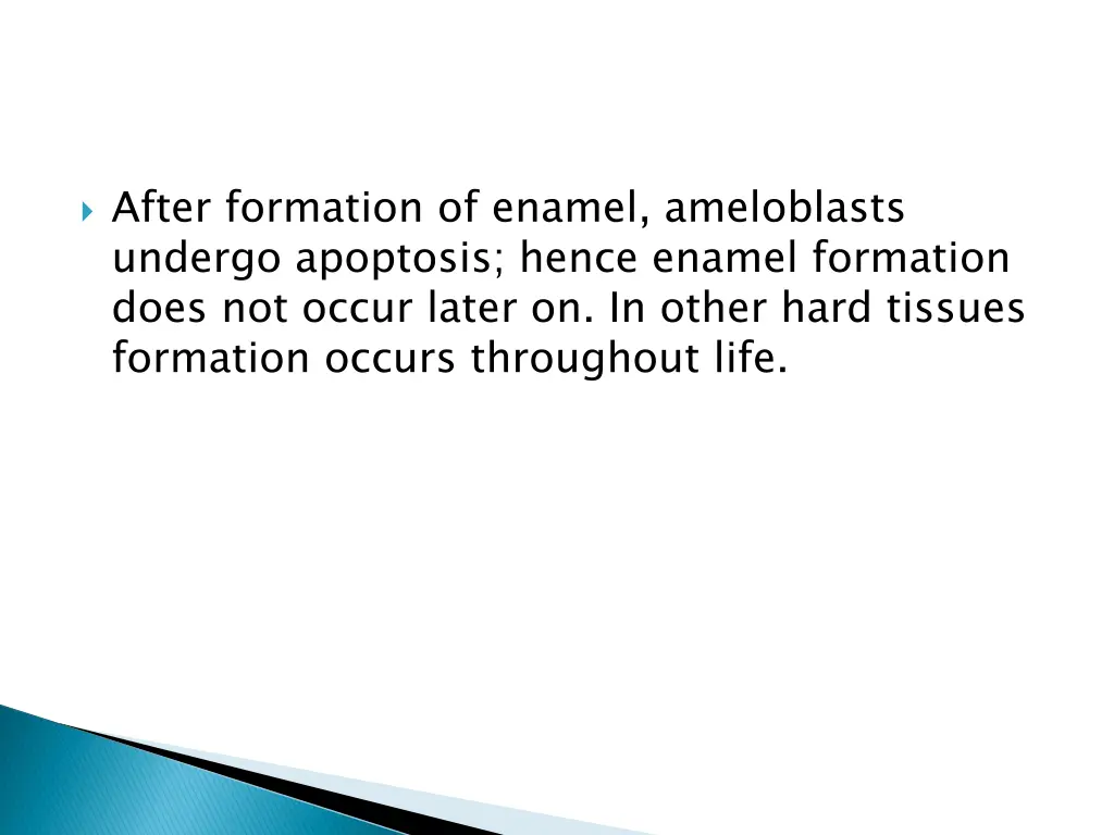 after formation of enamel ameloblasts undergo