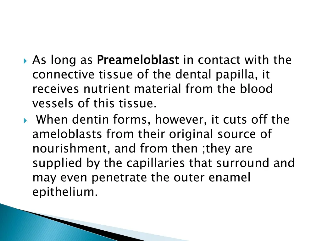 as long as preameloblast connective tissue