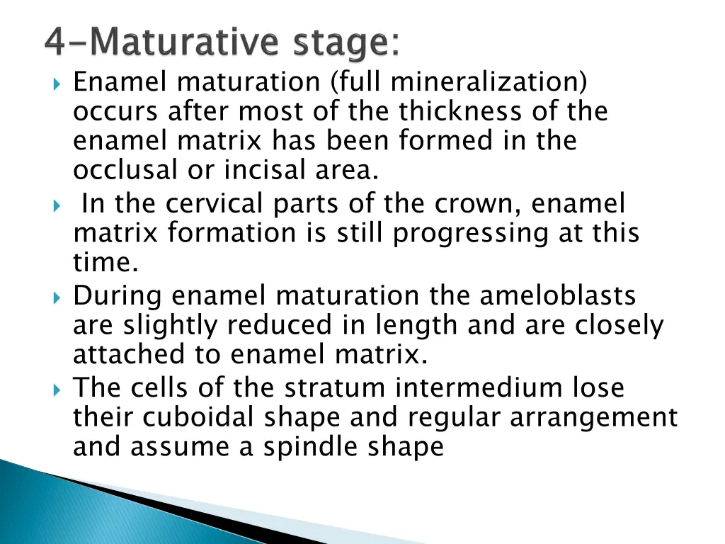 enamel maturation full mineralization occurs