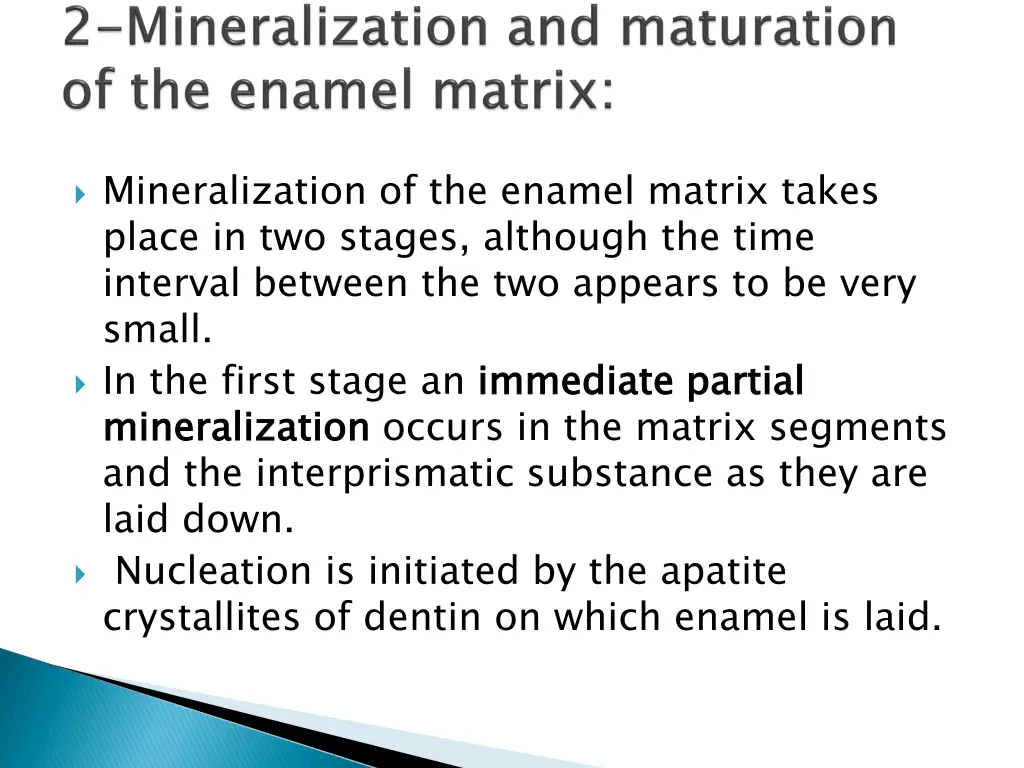 mineralization of the enamel matrix takes place