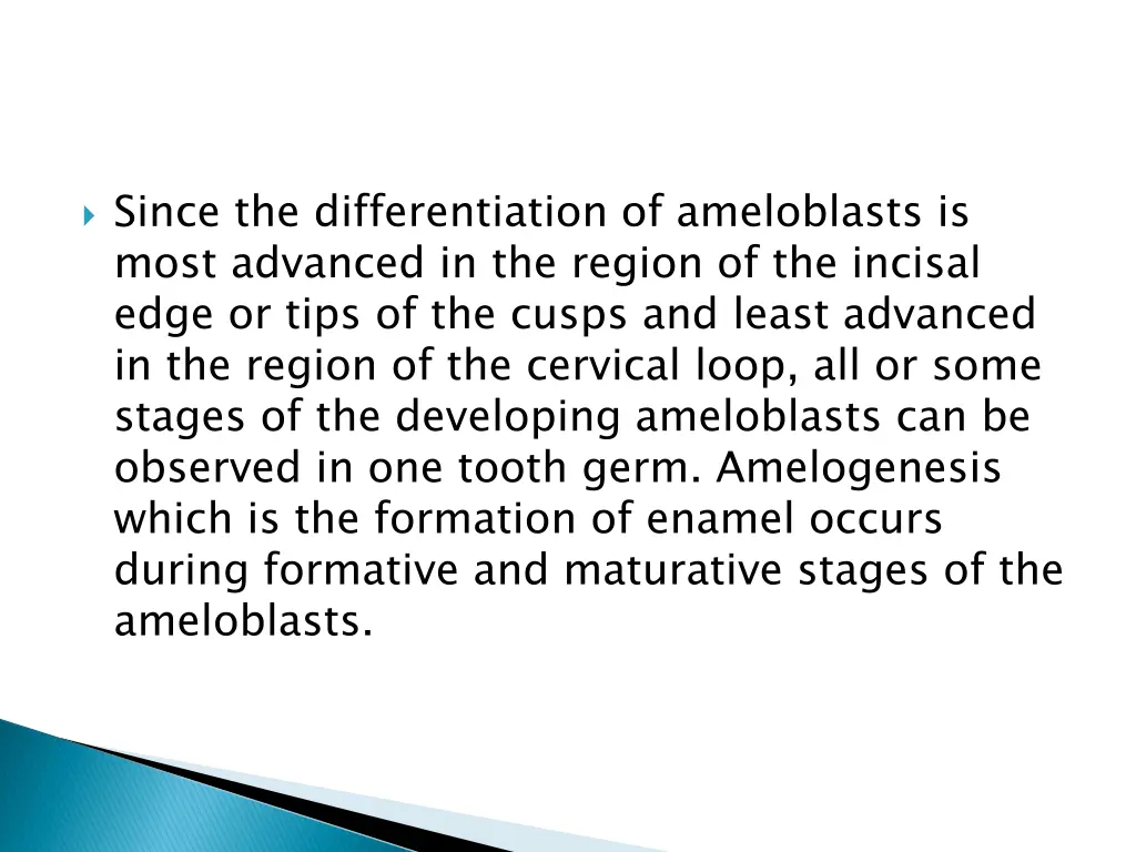 since the differentiation of ameloblasts is most