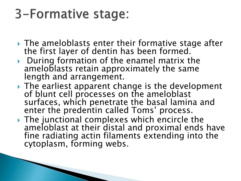 the ameloblasts enter their formative stage after