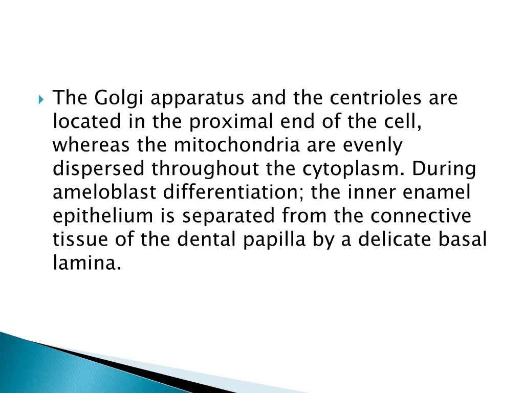 the golgi apparatus and the centrioles