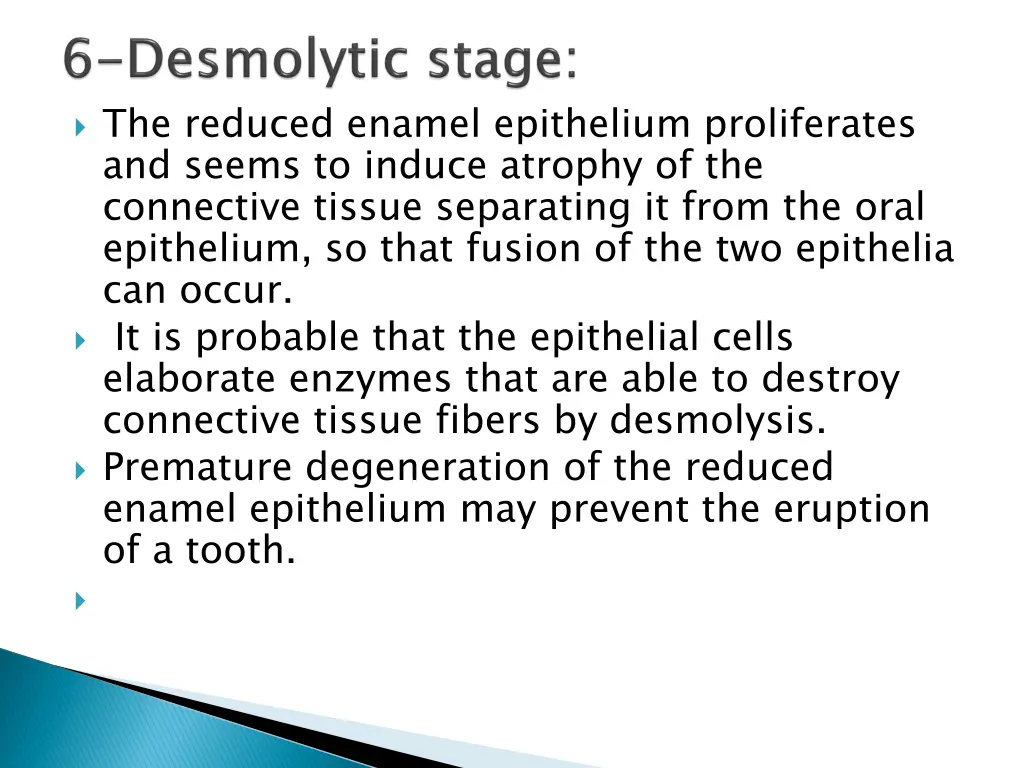 the reduced enamel epithelium proliferates