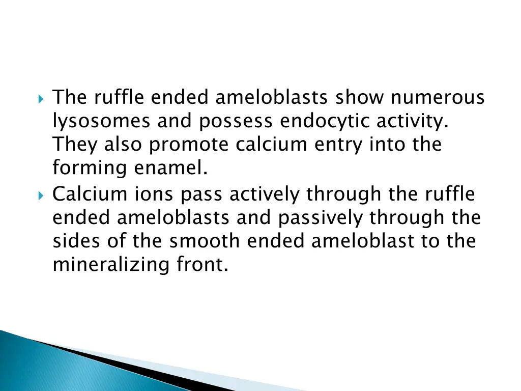 the ruffle ended ameloblasts show numerous