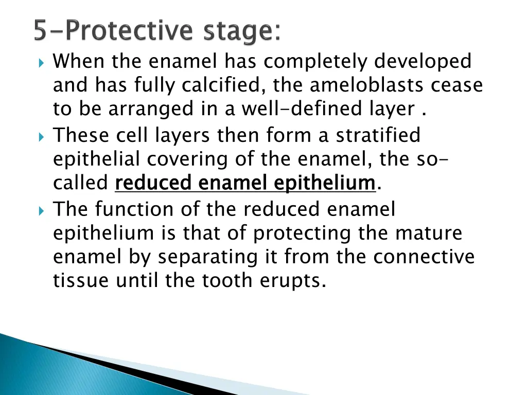 when the enamel has completely developed