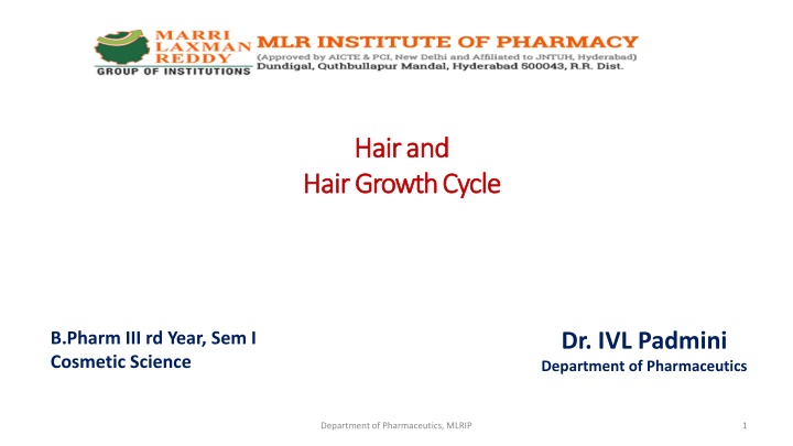 hair hair and growth cycle