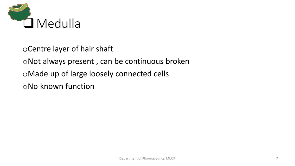 medulla