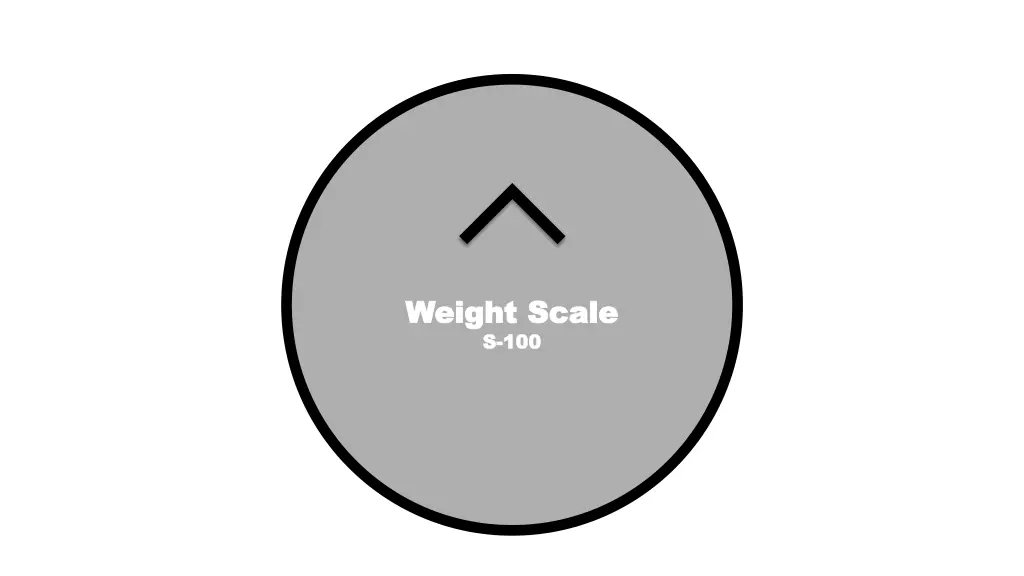 weight scale weight scale s s 100 100