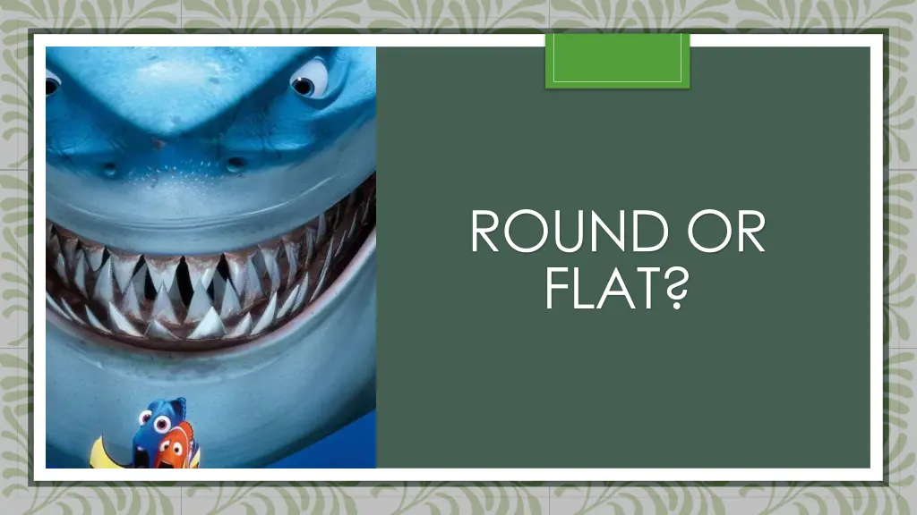 round or flat 2