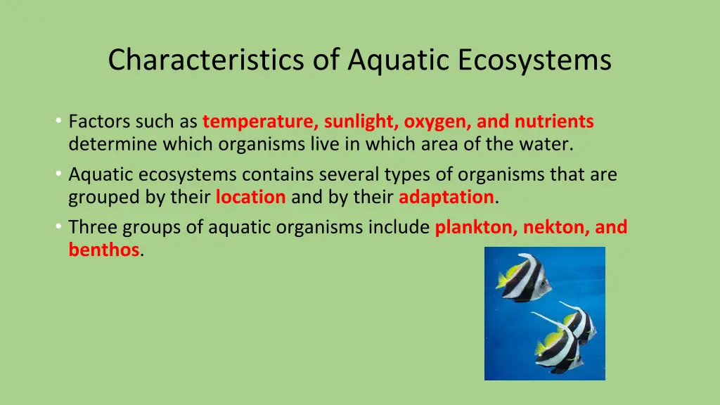 characteristics of aquatic ecosystems