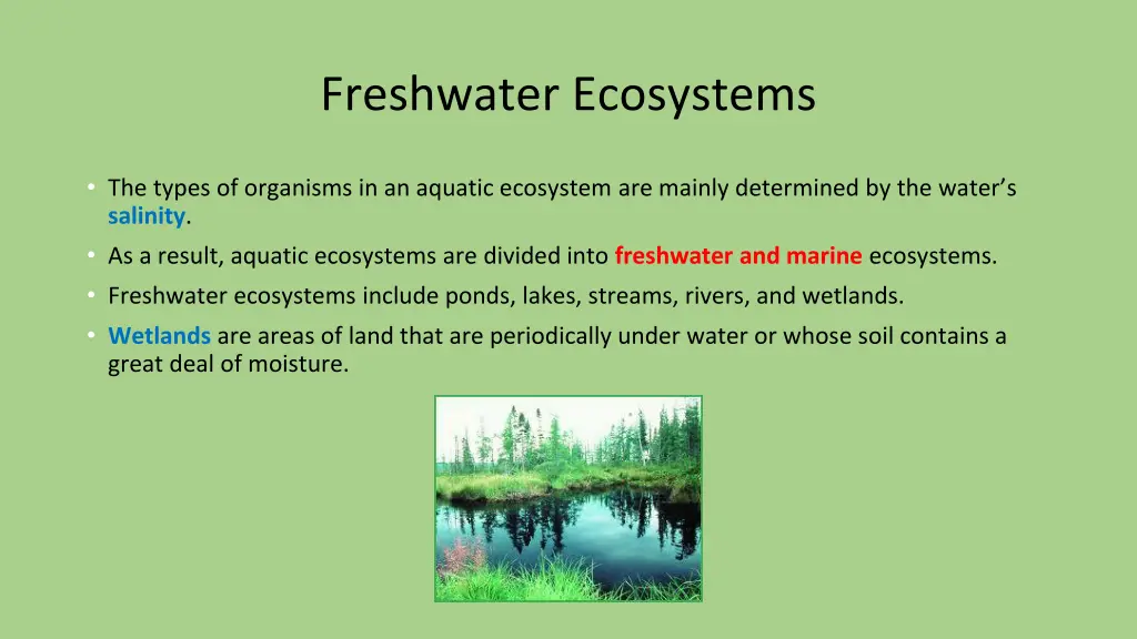 freshwater ecosystems