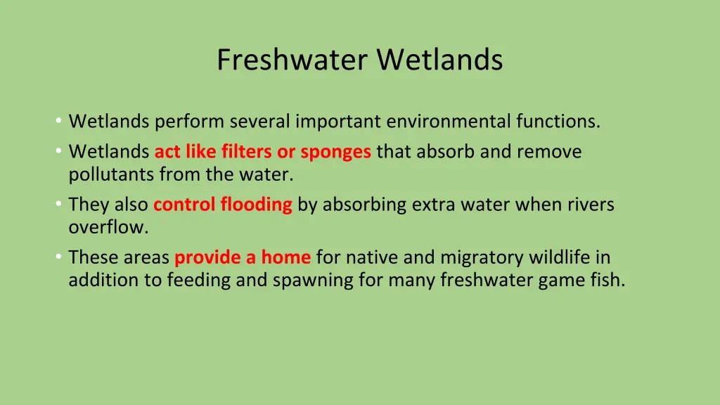 freshwater wetlands 2